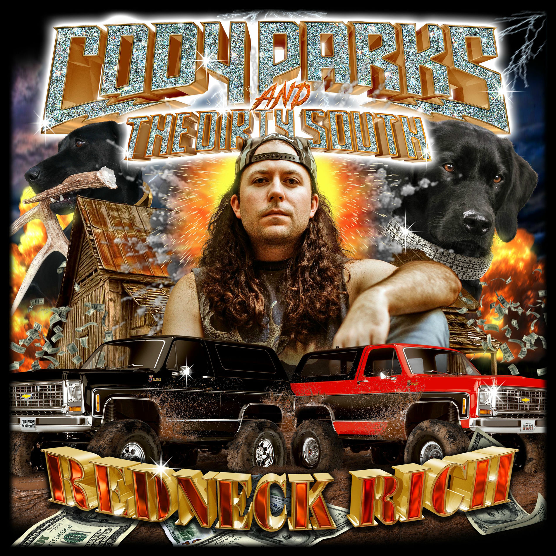 Album cover of Redneck Rich