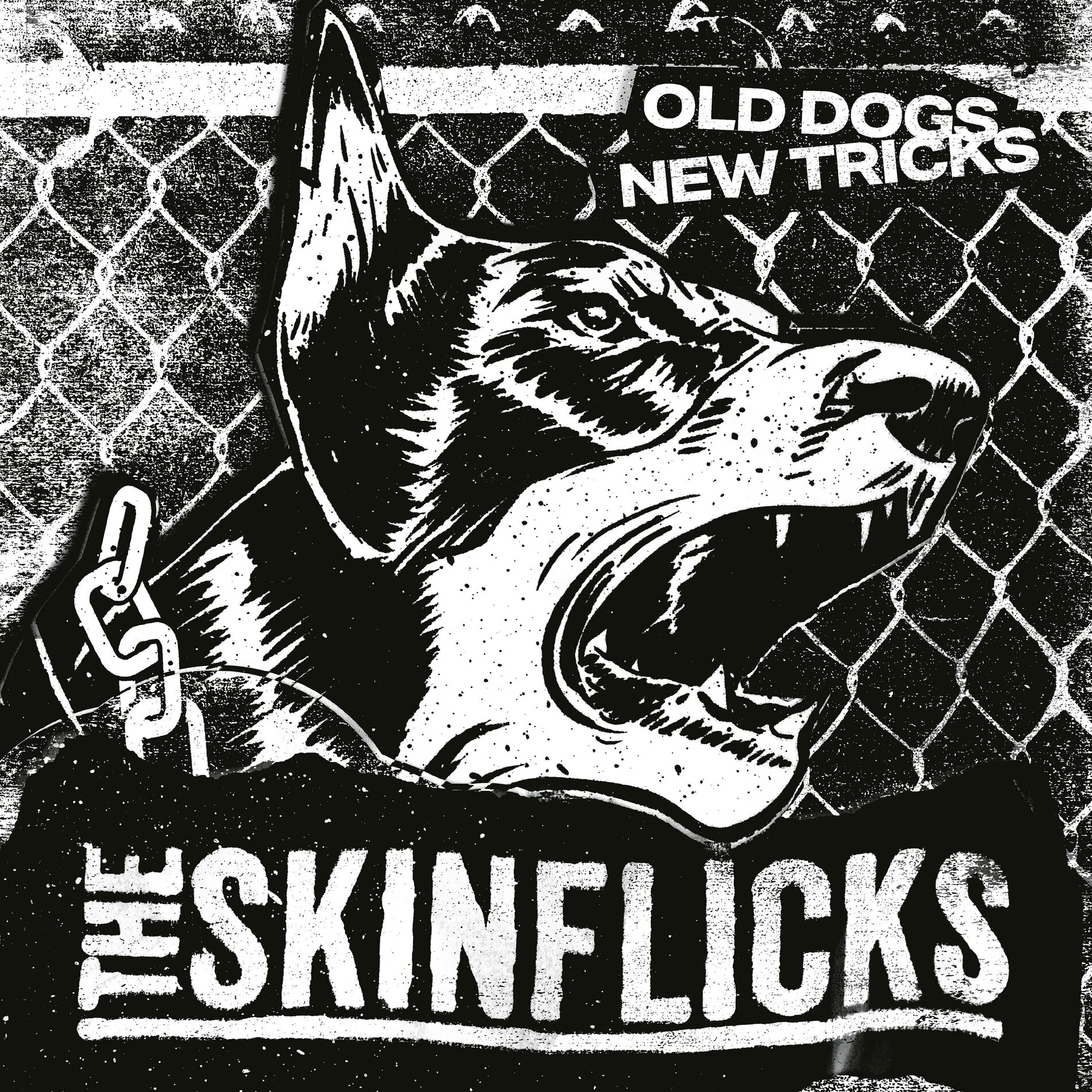 Album cover of Old dogs, new tricks