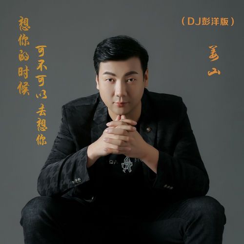 想你的时候可不可以去想你 (DJ彭洋版)