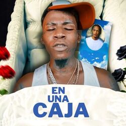 Cover of En Una Caja