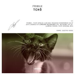 Cover of Tchô