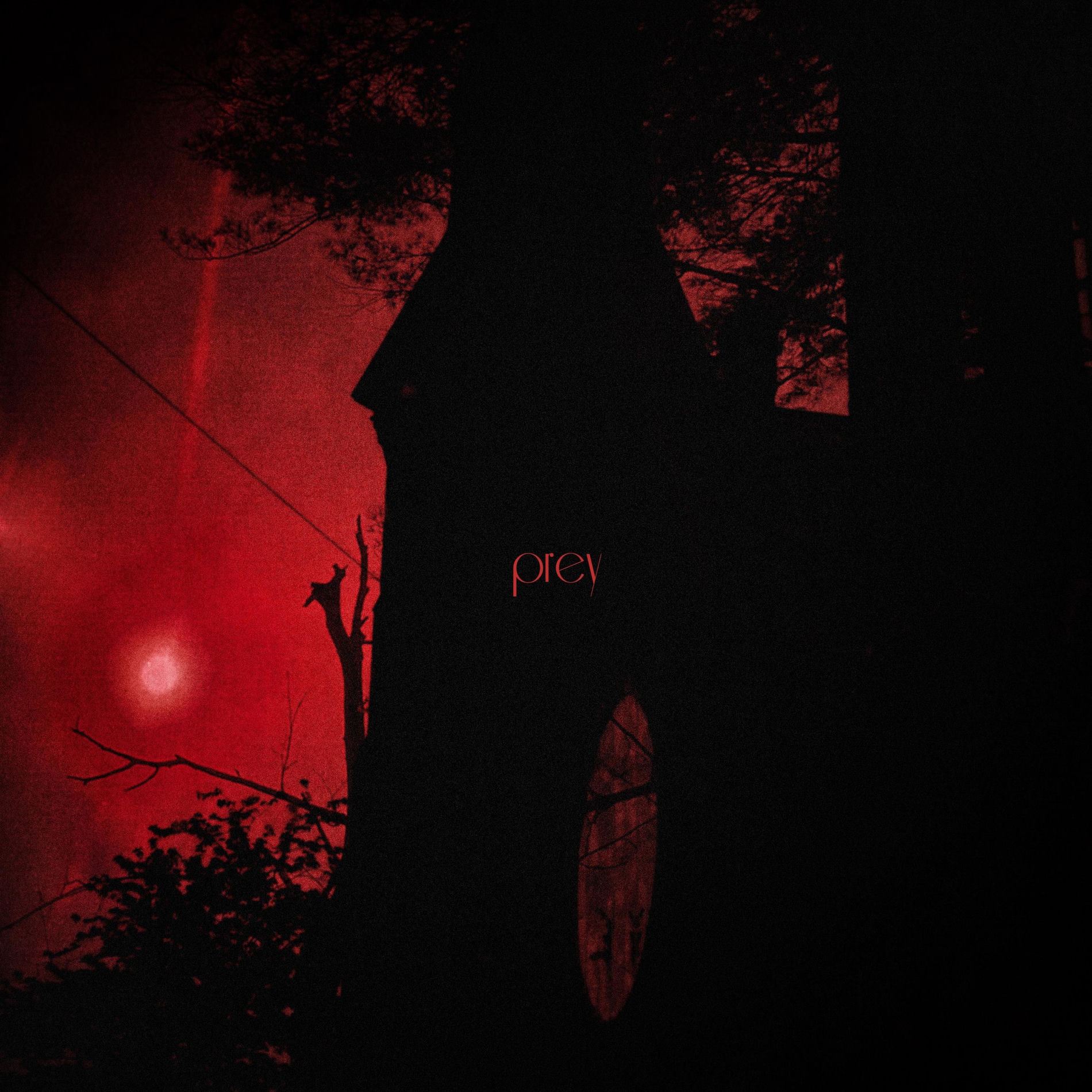 Album cover of prey
