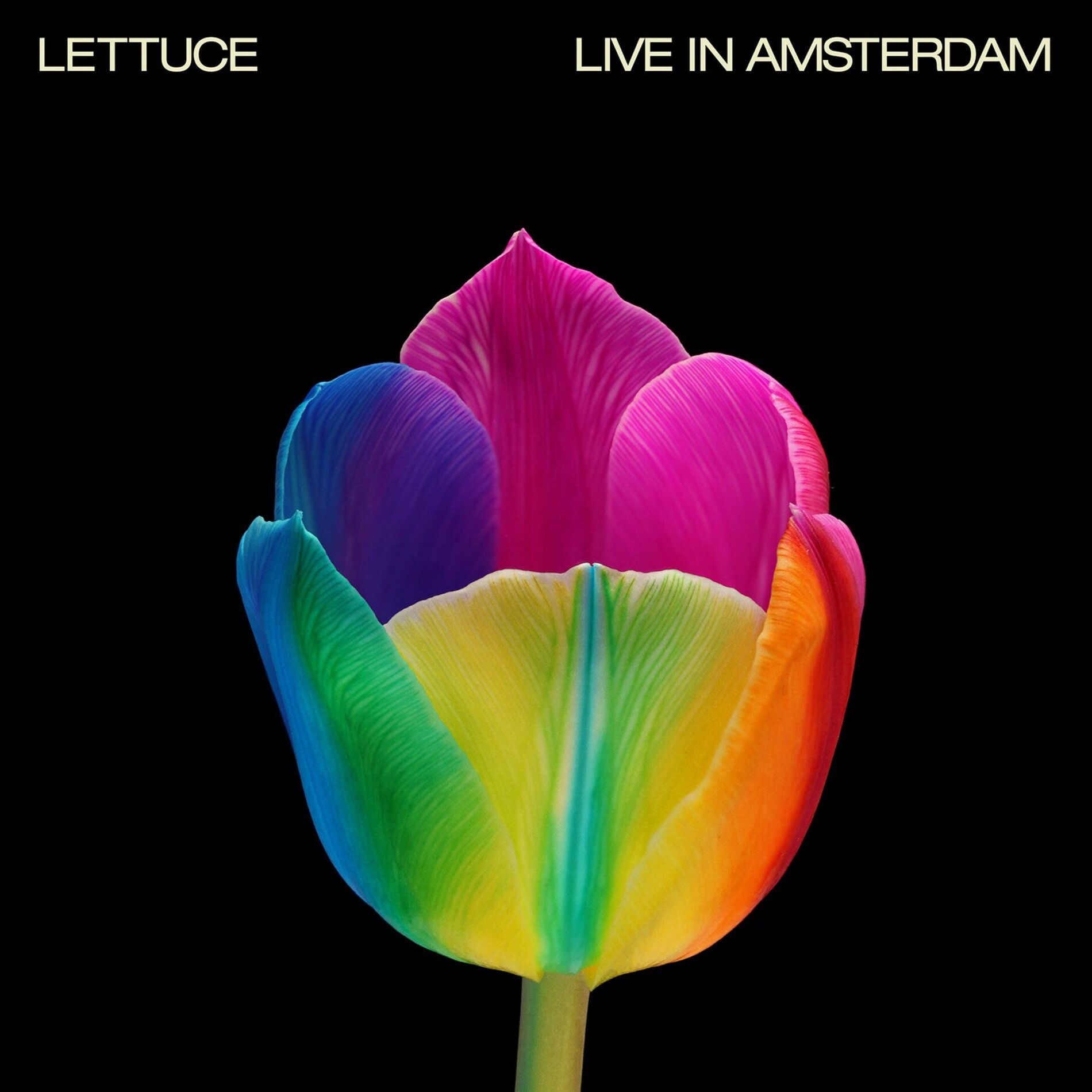 Album cover of Live in Amsterdam