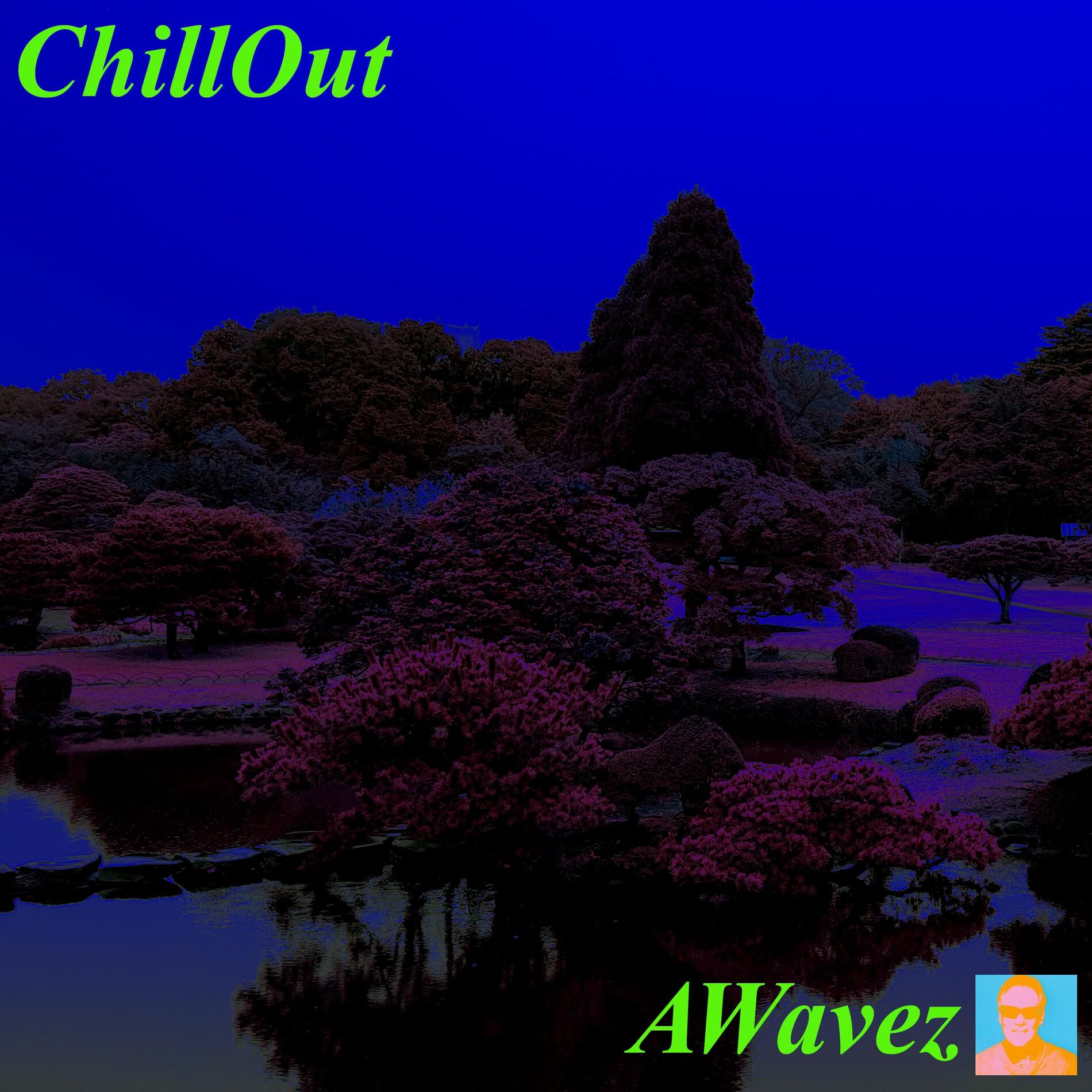 Album cover of ChillOut