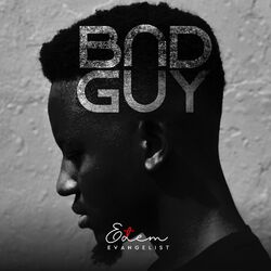 Cover of Bad Guy