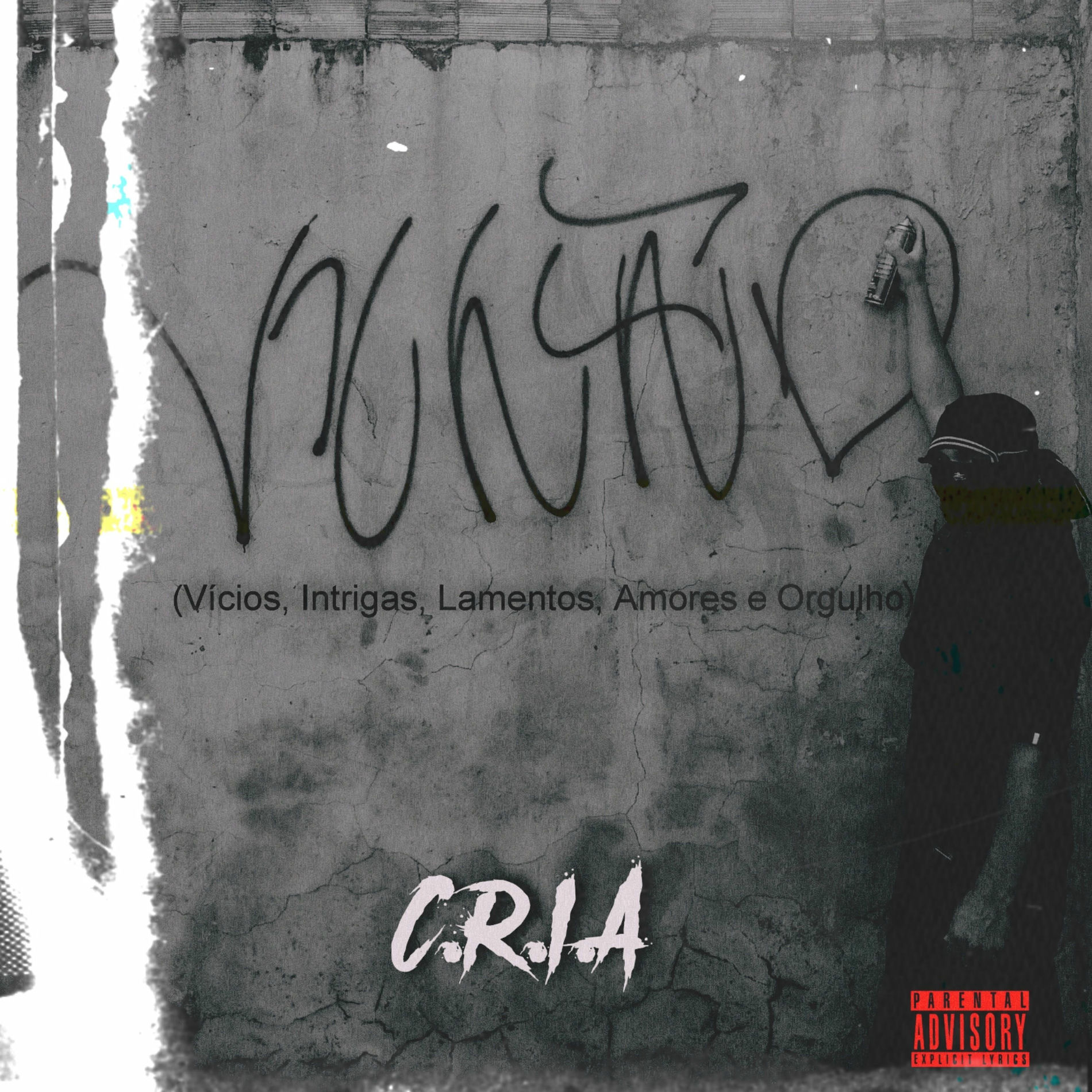 Album cover of V.I.L.A.O