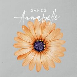 Cover of Annabelle