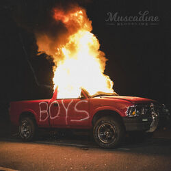 Cover of Boys