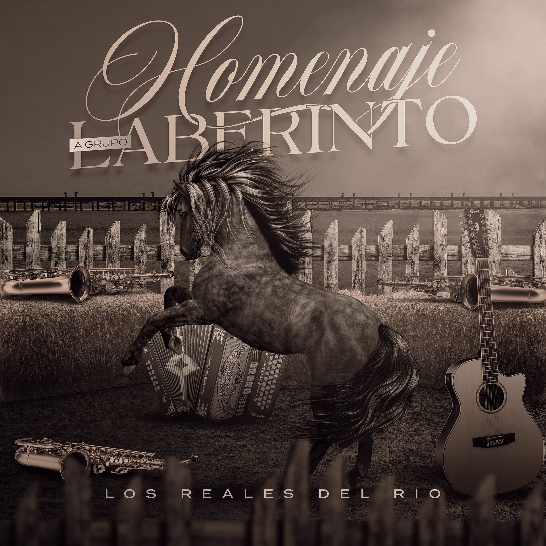Album cover of Homenaje A Grupo Laberinto