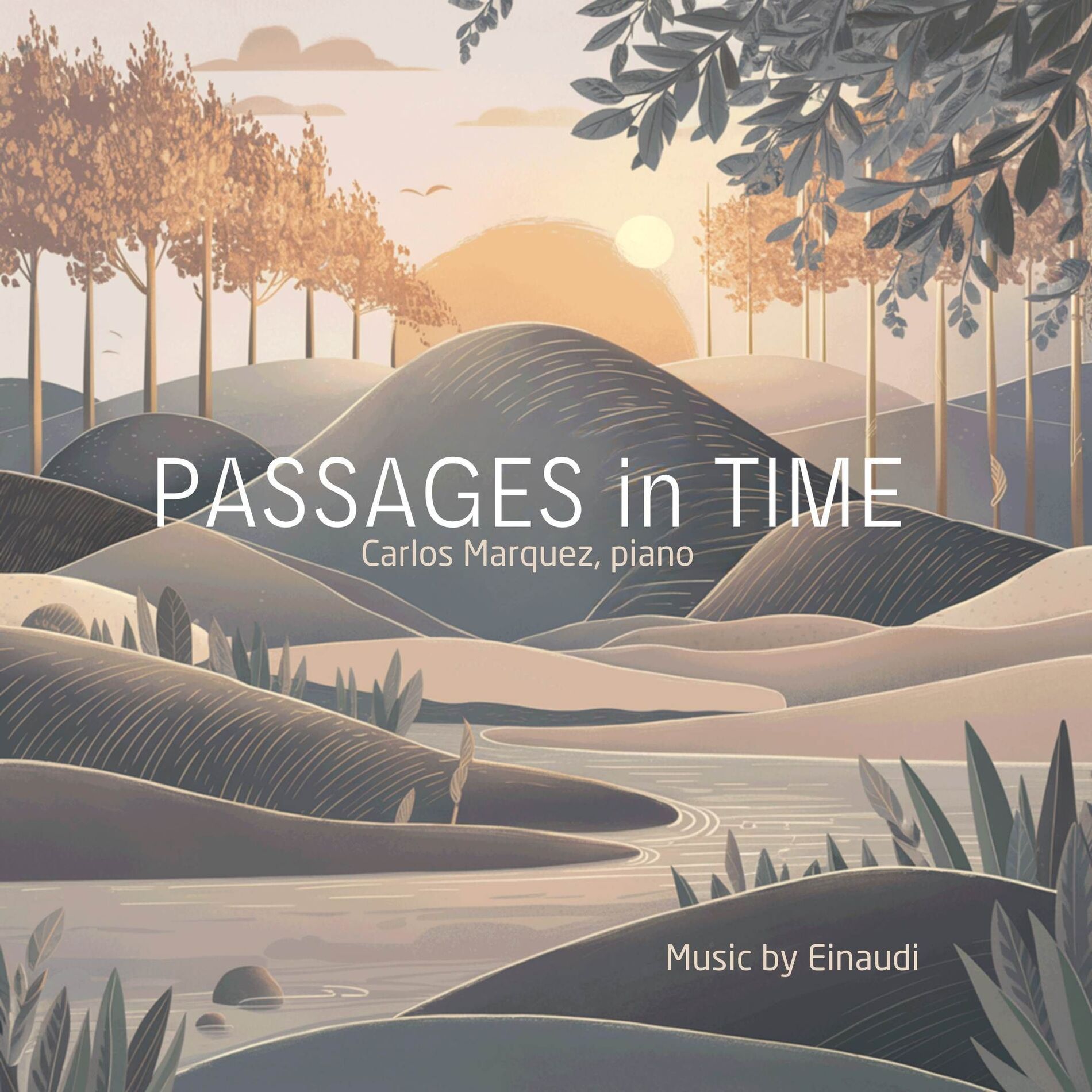 Album cover of Passages in Time