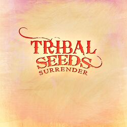 Cover of Surrender