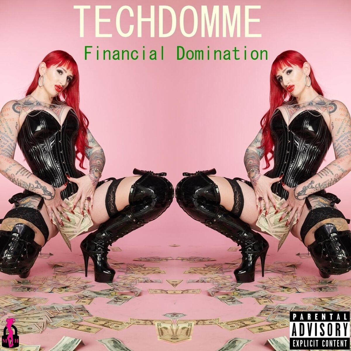 Album cover of Techdomme: Financial Domination