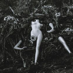Cover of Laberinto