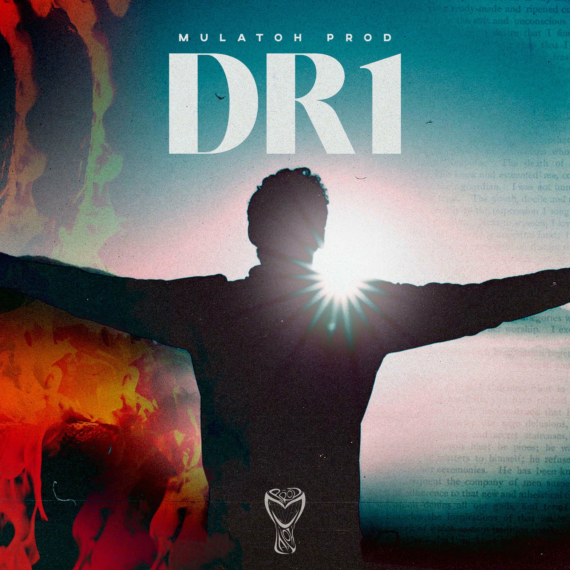 Album cover of DR1