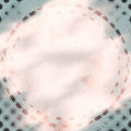 Lichenography III