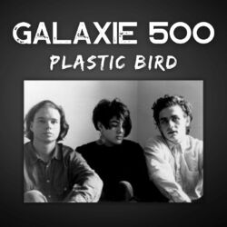 Plastic Bird