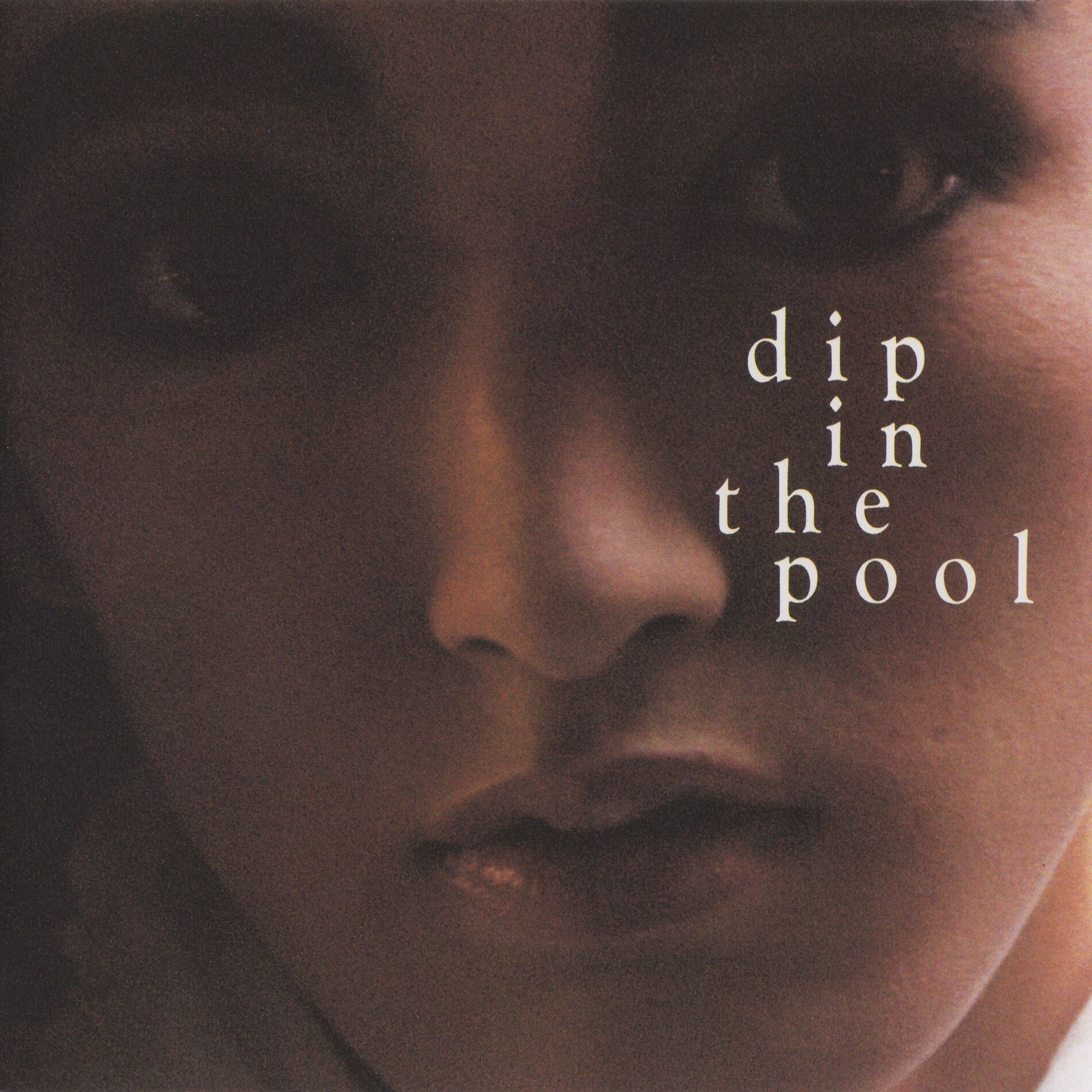 Album cover of dip in the pool