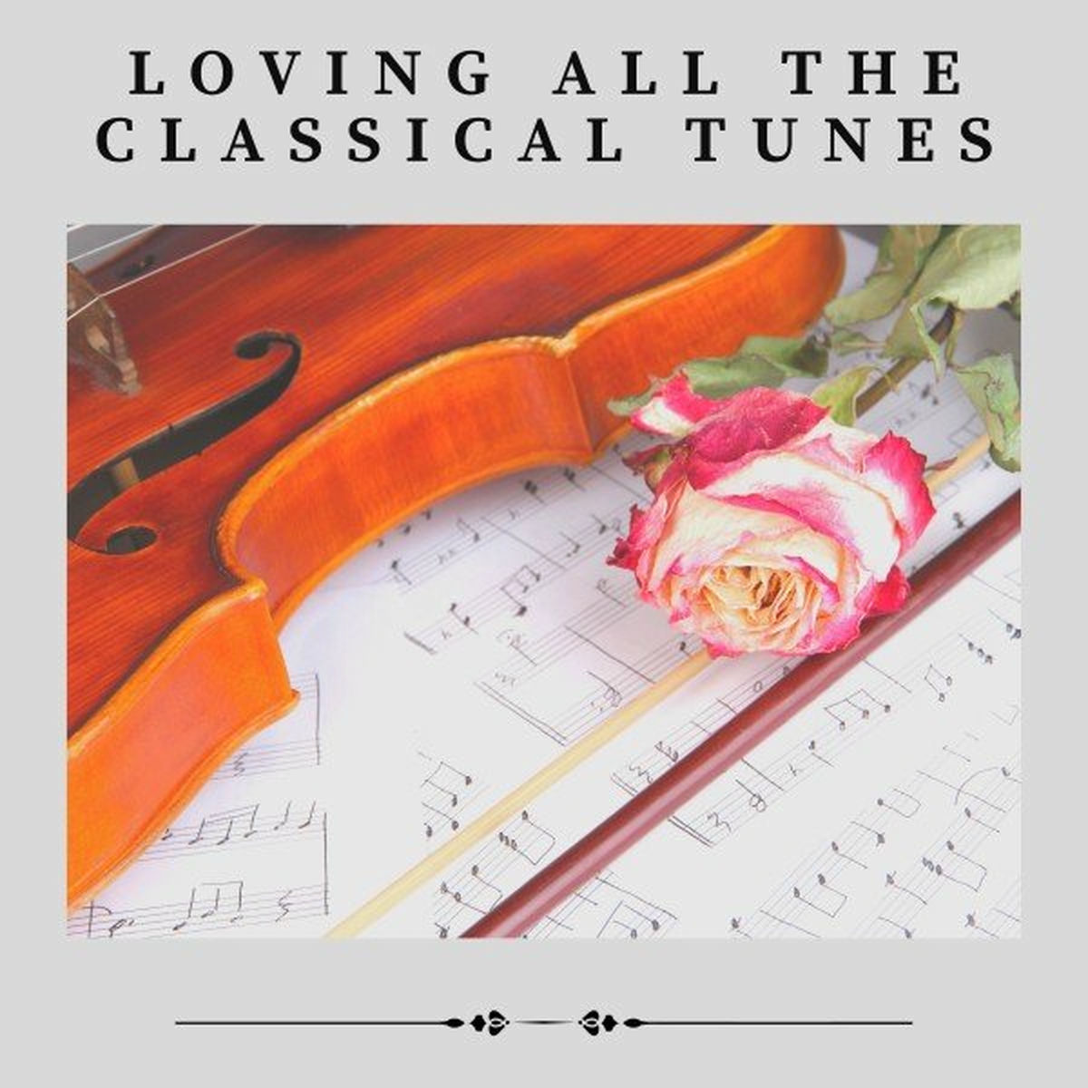Album cover of Loving All the Classical Tunes