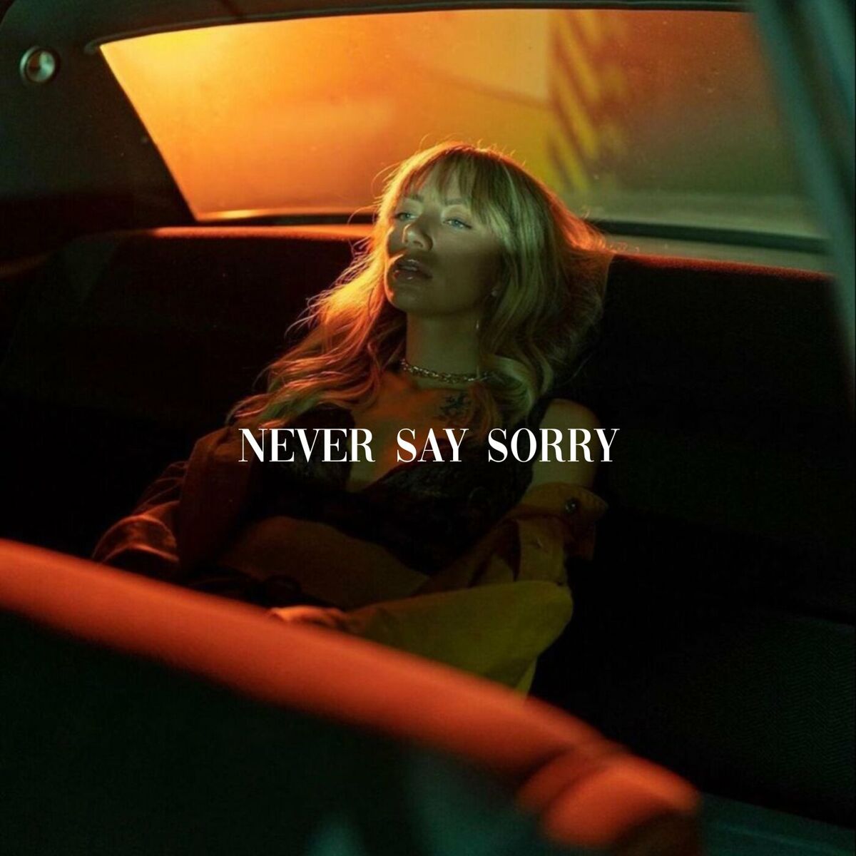 Album cover of Never Say Sorry