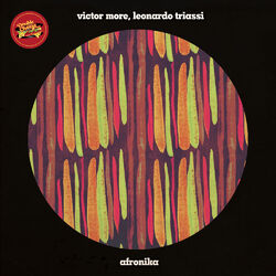 Cover of Afronika