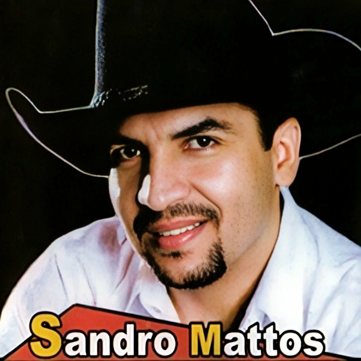 Album cover of A Paixão Do Arrocha