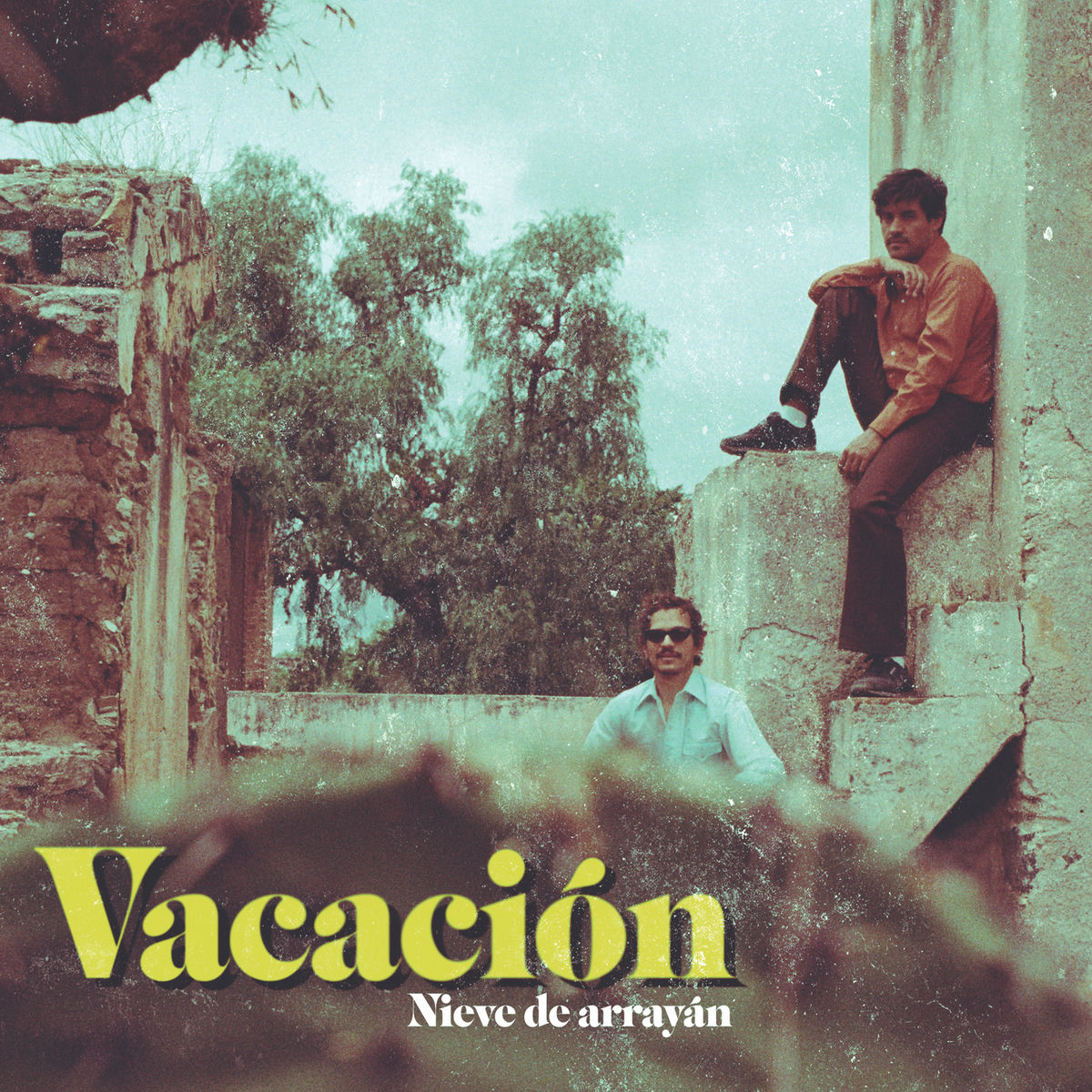 Album cover of Nieve De Arrayán