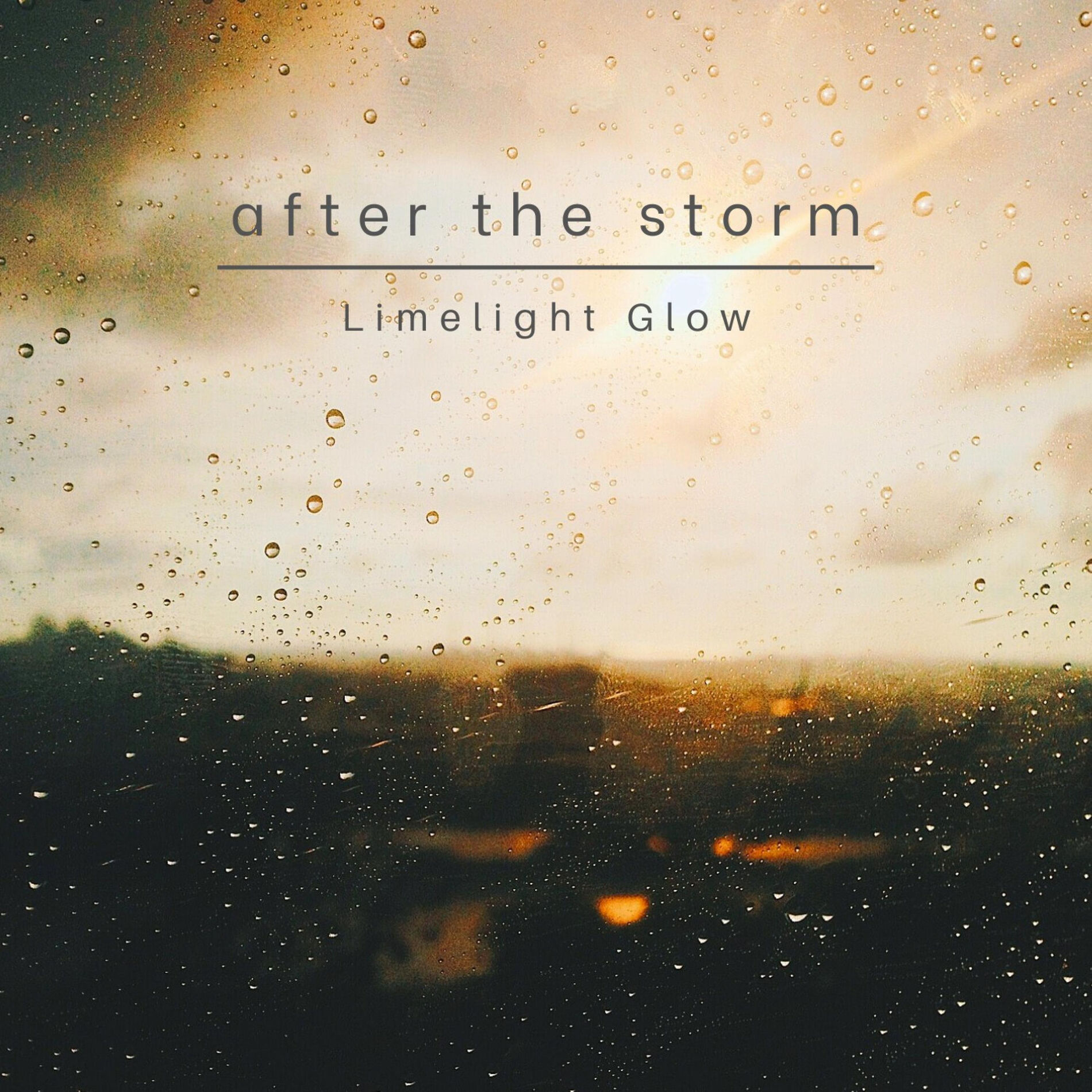 Album cover of After the Storm