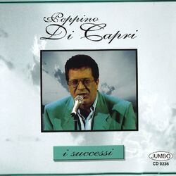 Cover of I successi