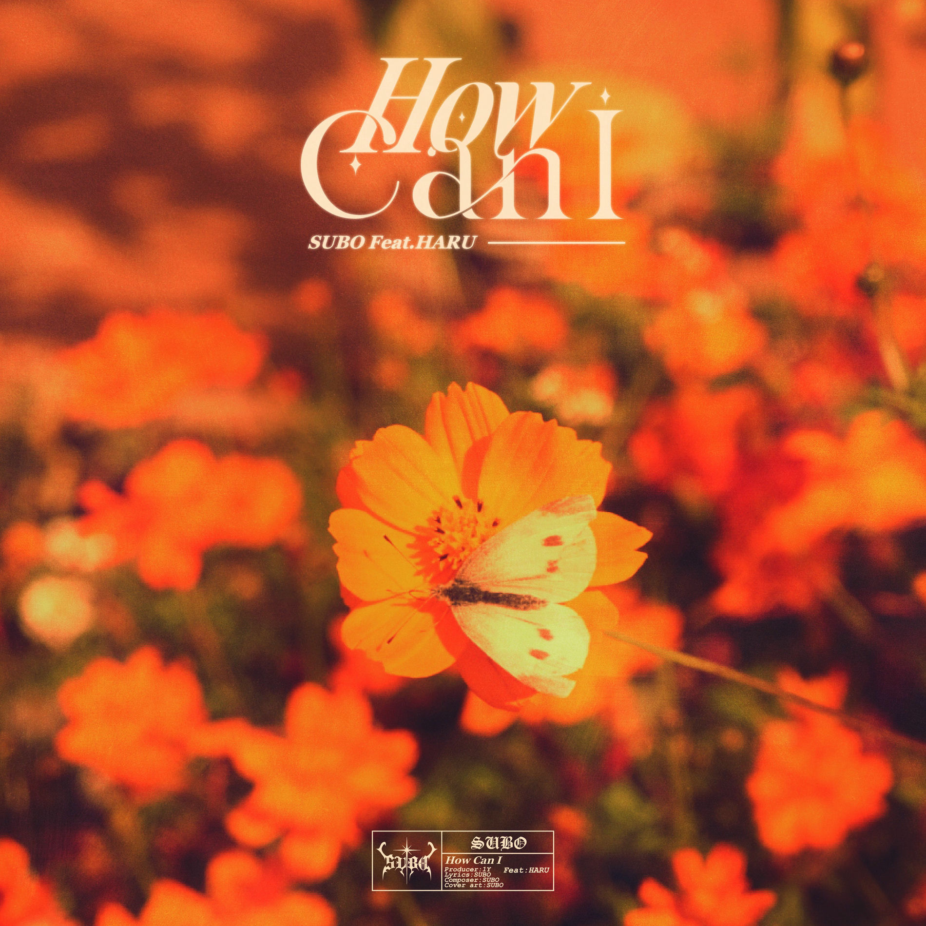 Album cover of How Can I