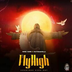 Cover of Fly High
