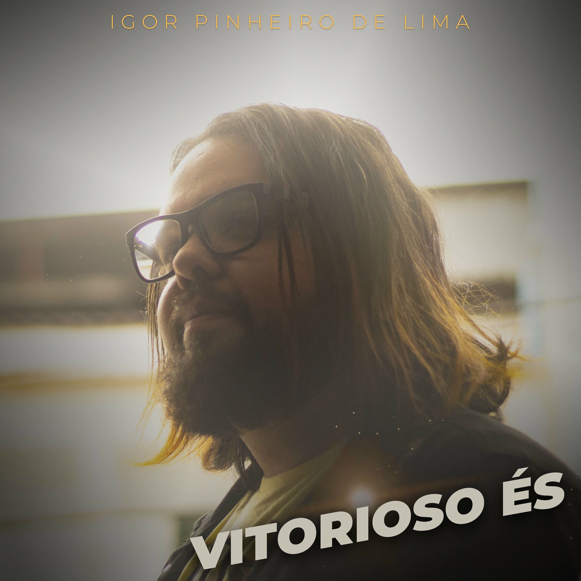 Album cover of Vitorioso És