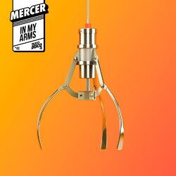 Cover of In My Arms