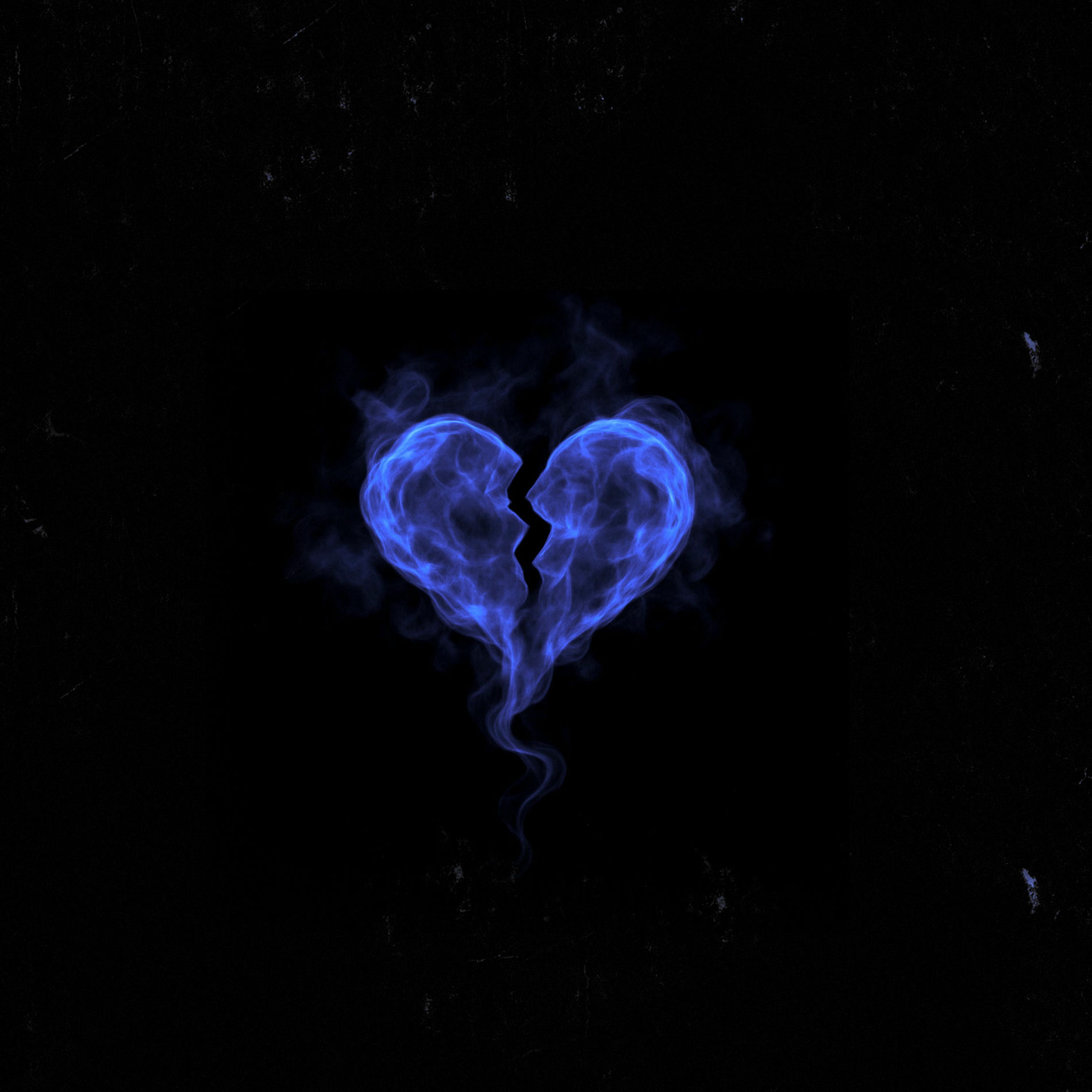 Album cover of SE SUPONE