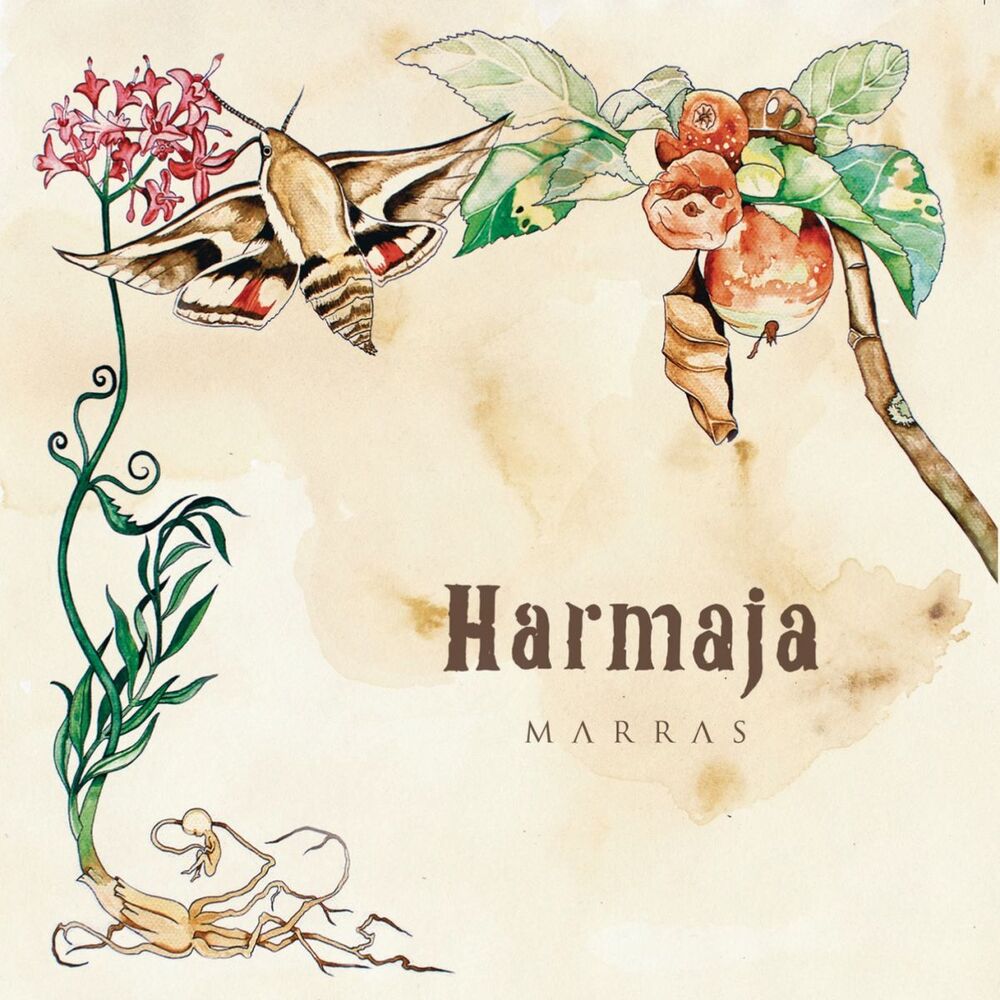 Picture of Marras