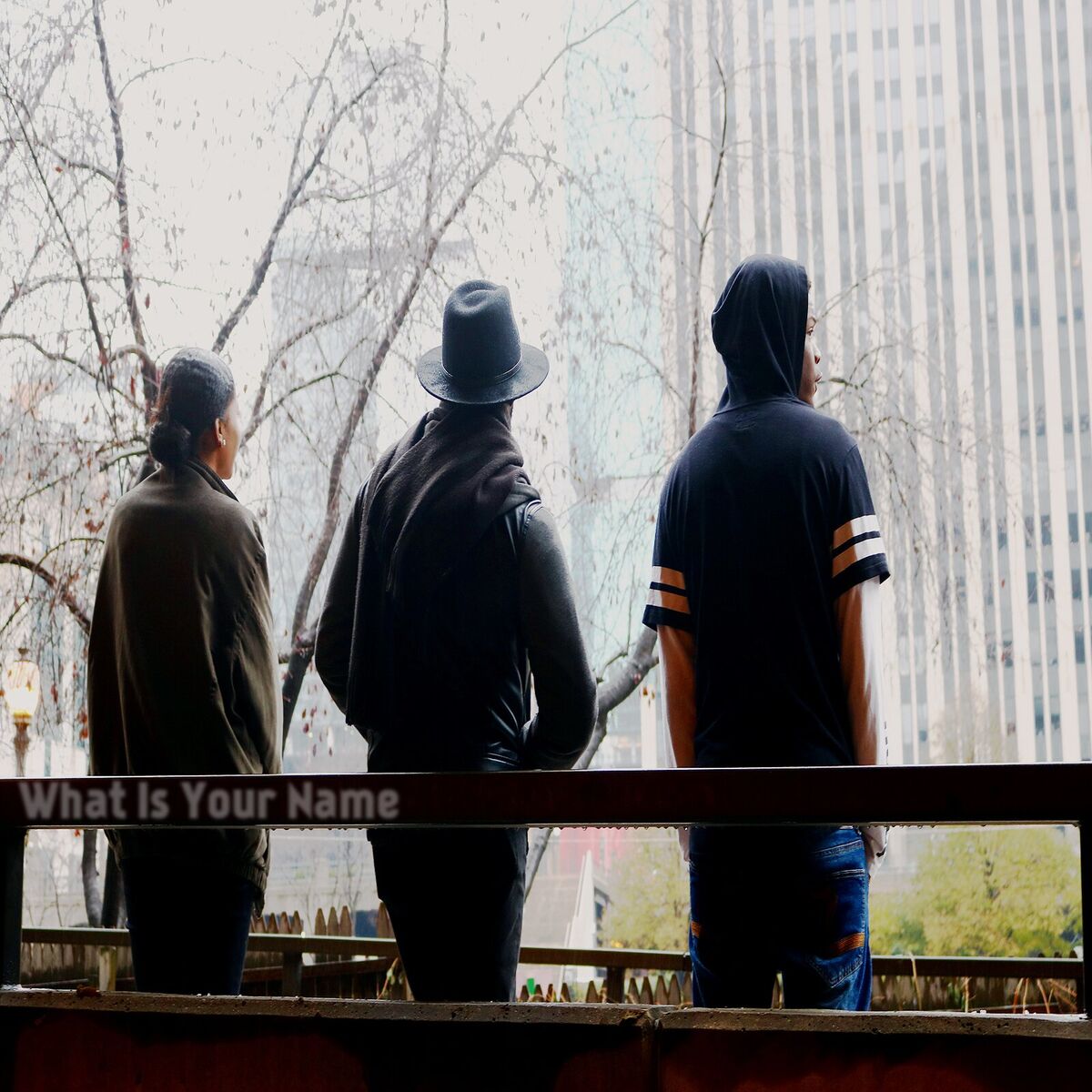 Album cover of What Is Your Name (feat. Kid Iso & Mykah)