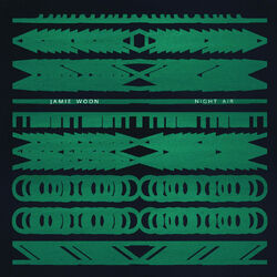 Cover of Night Air