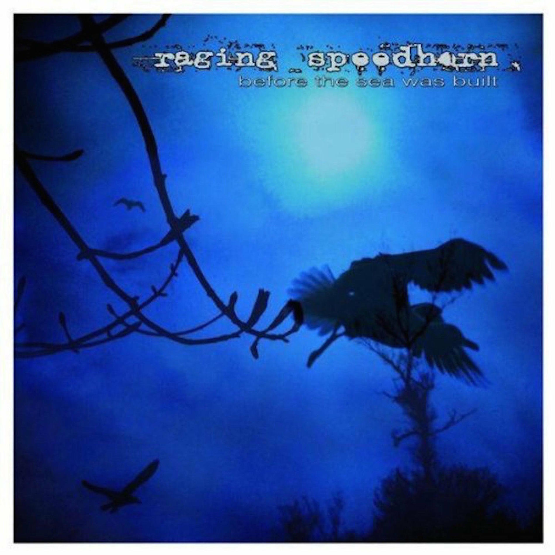 Album cover of Before the Sea was Built