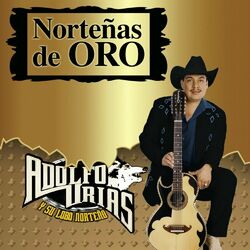 Cover of Norteñas De Oro (Norteño)