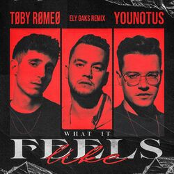Cover of What It Feels Like (Ely Oaks Remix)