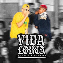 Cover of Vida Louca