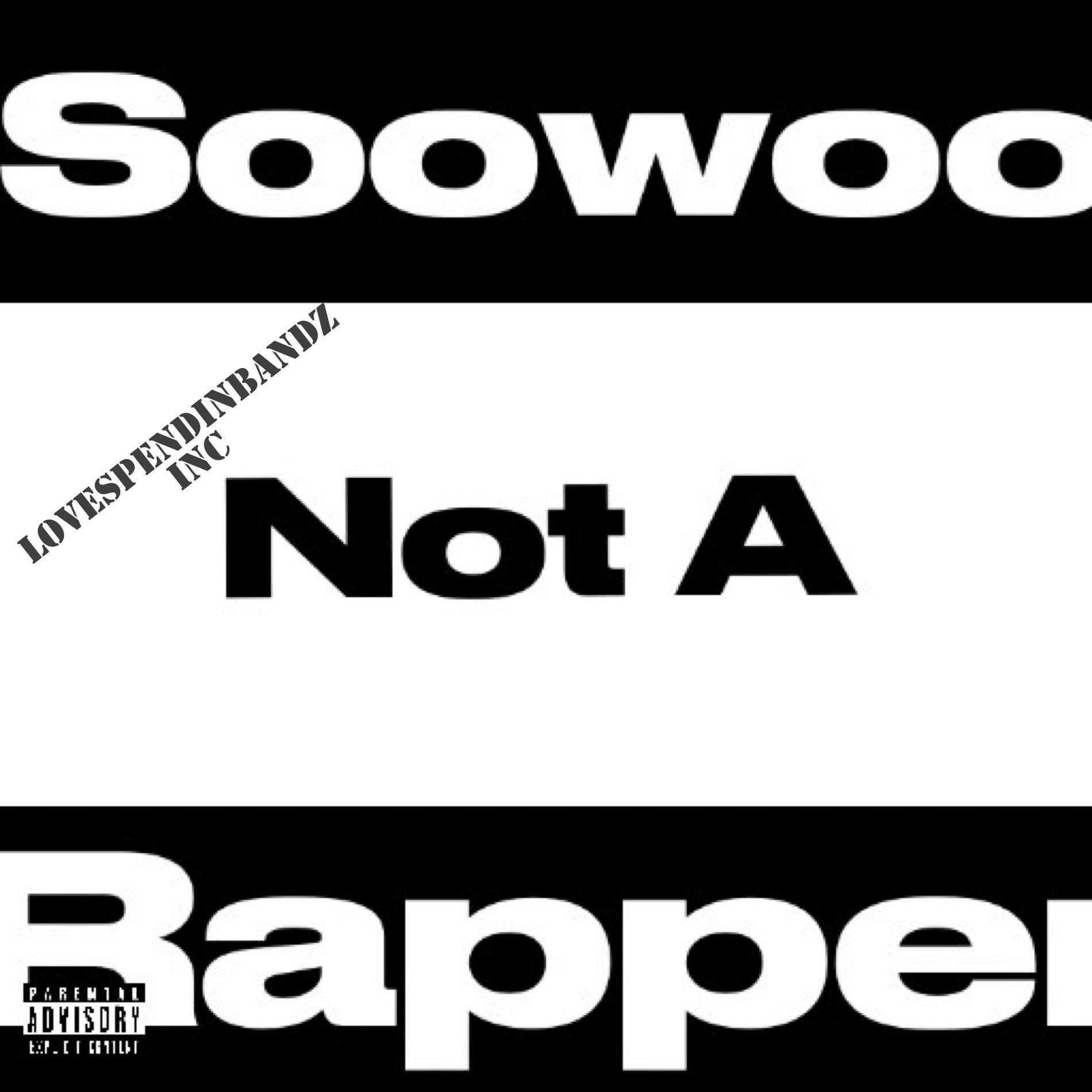 Album cover of Not A Rapper