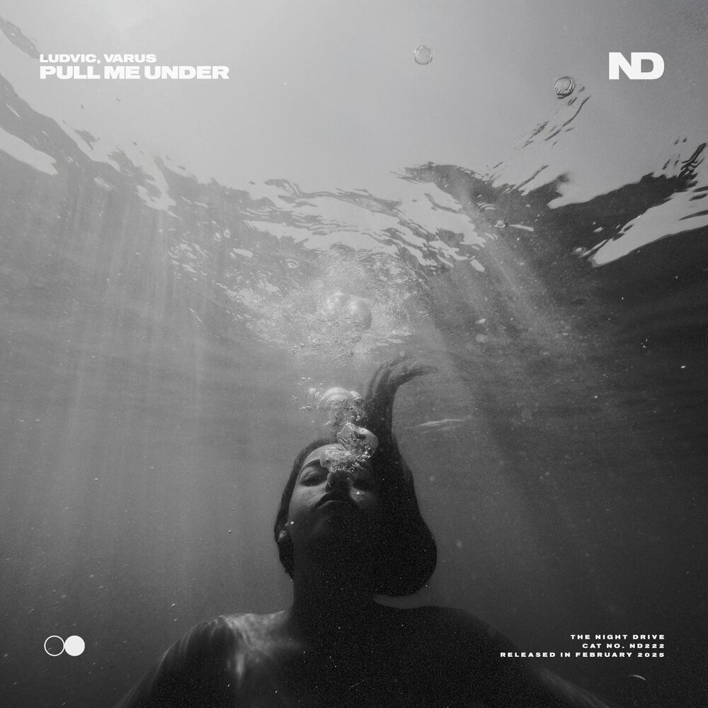 Picture of Pull Me Under