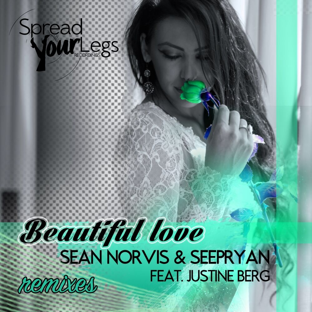 Picture of Beautiful Love Remixes