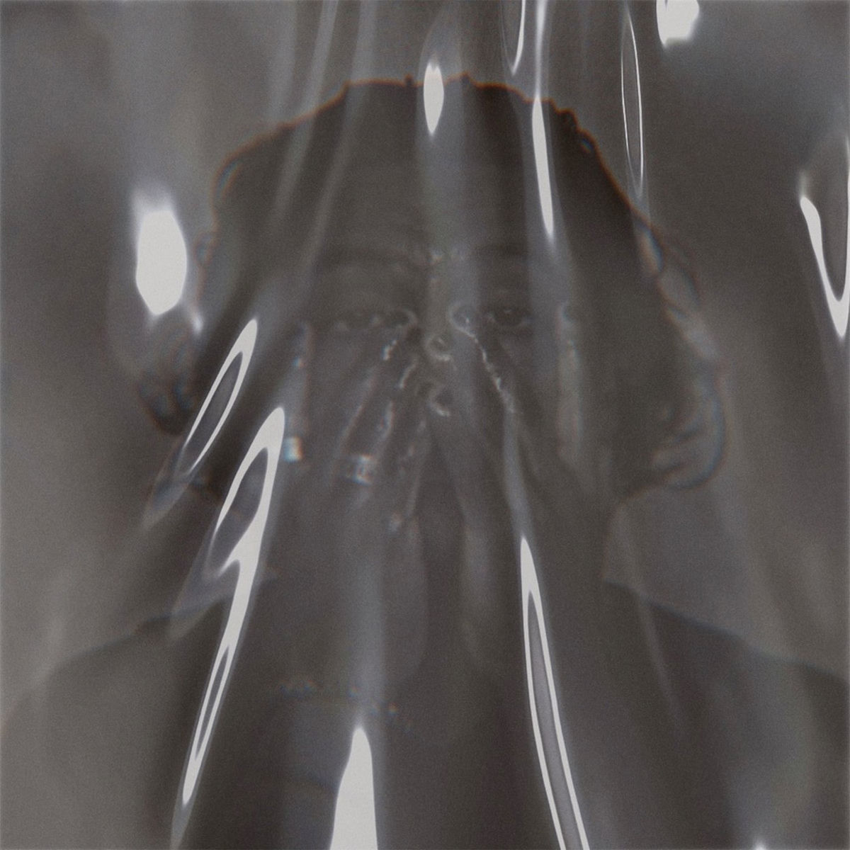 Album cover of Champion (Apotech Remix)