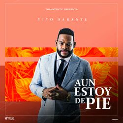 Cover of Aun Estoy De Pie
