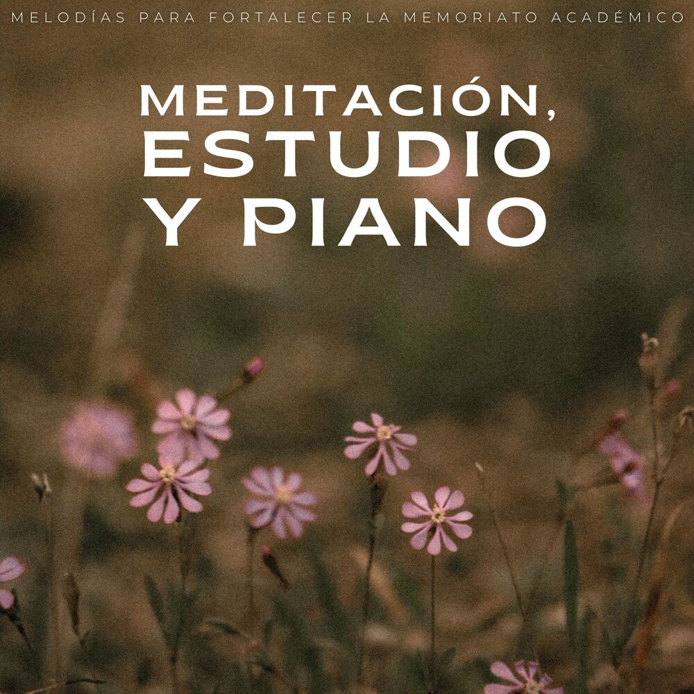 Picture of Meditación, Estudio Y Piano: Melodías Para Fortalecer La Memoria