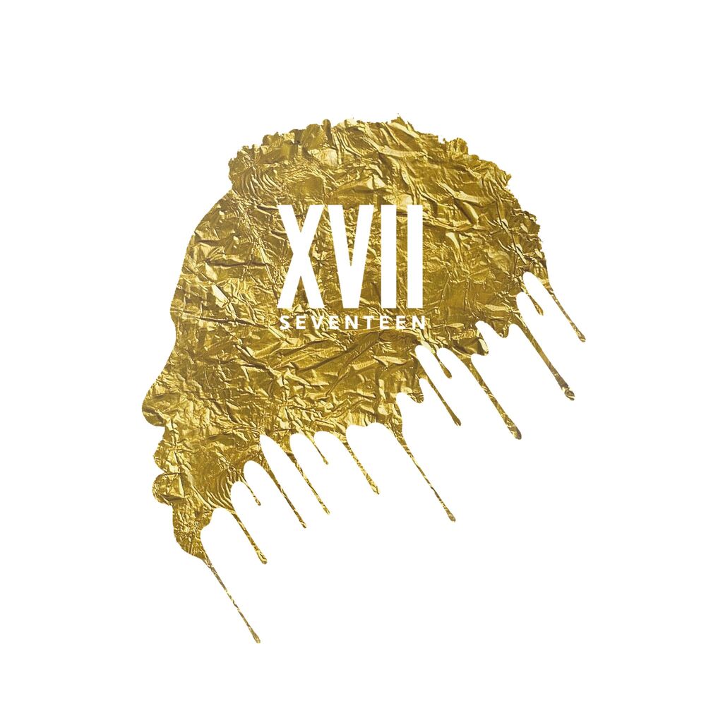 Picture of XVII