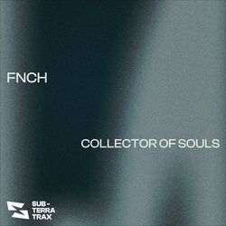 Cover of Collector Of Souls