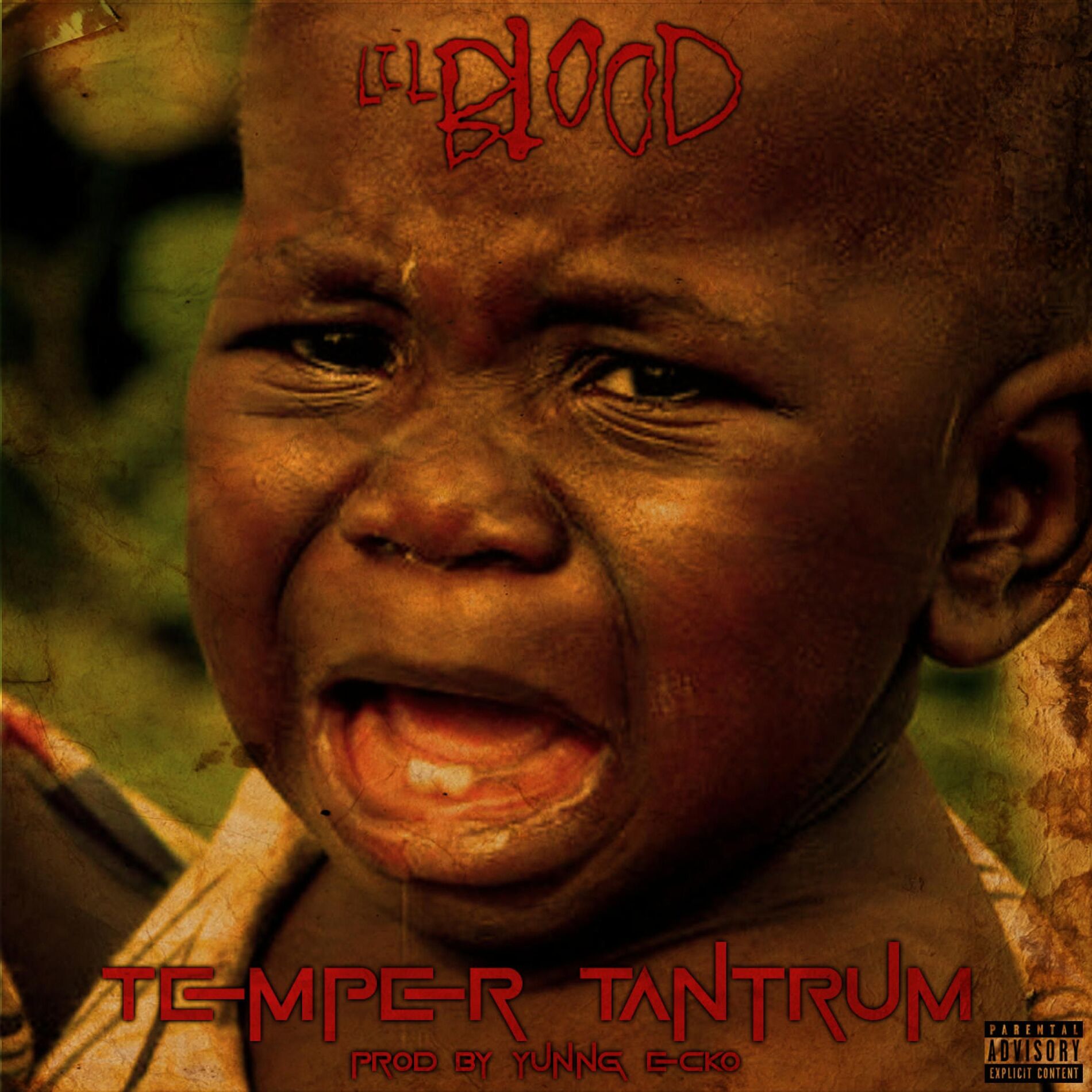Album cover of Temper Tantrum