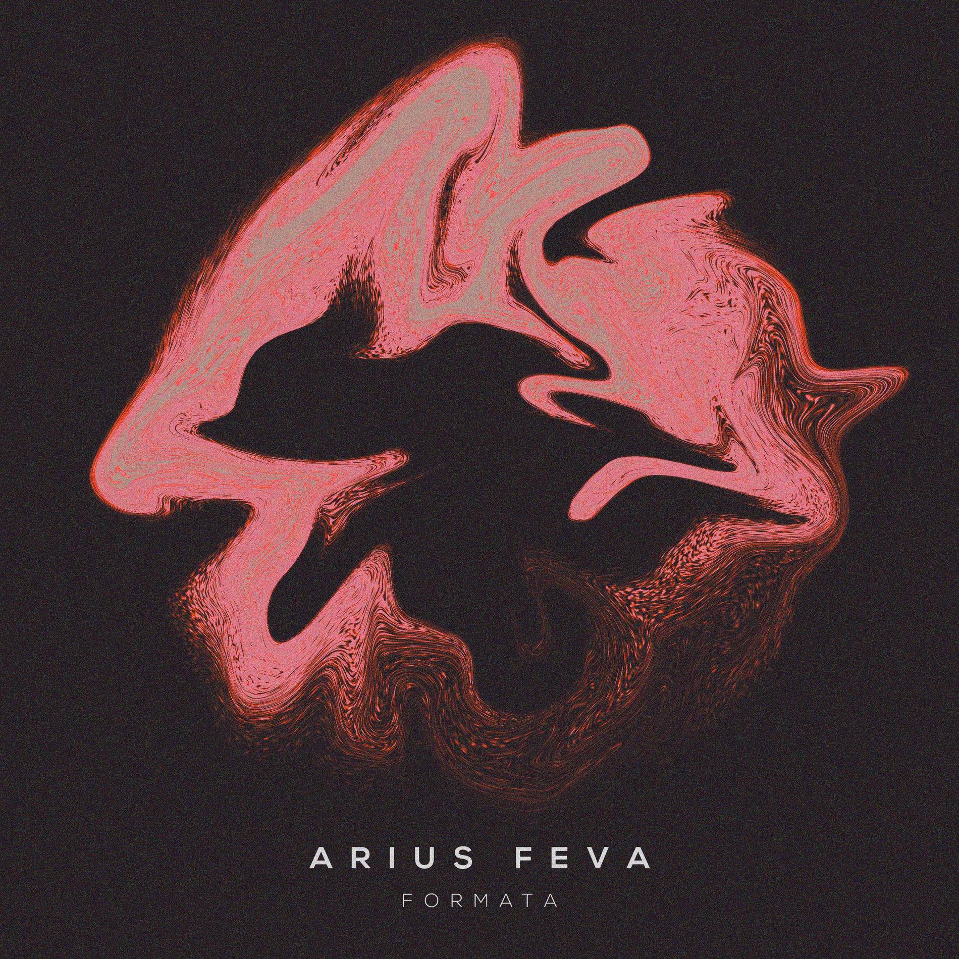 Album cover of Formata